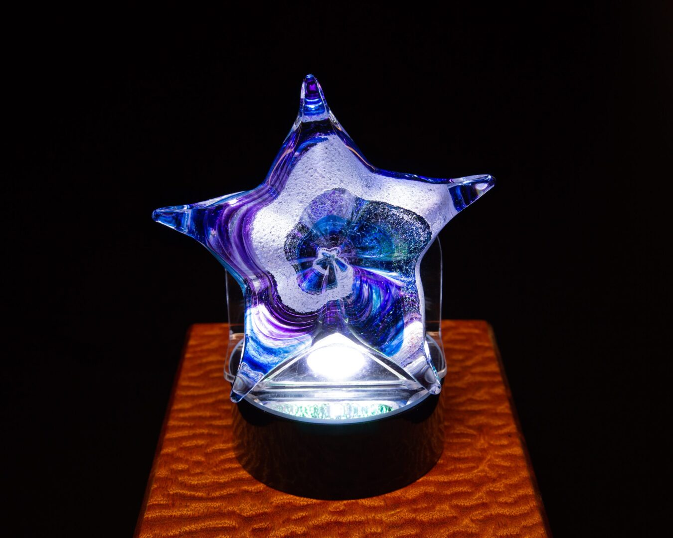 Aqua Purple Gold Starfish on LED <br>lighted base and acrylic starfish stand